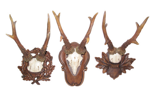 Set of Three Roe Deer Antlers